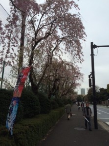 東京散歩①-7
