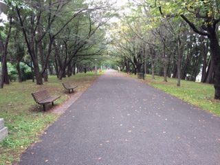 ⑪辰巳緑道公園