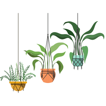 快適さと癒しを提供するオフィスグリーンの設置